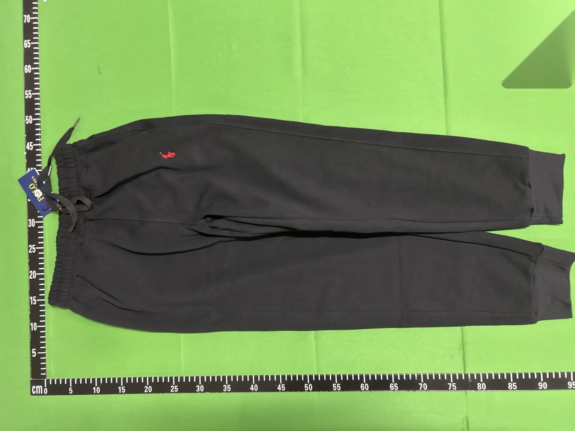Embroidered Zip Hoodie and Jogger Set -5