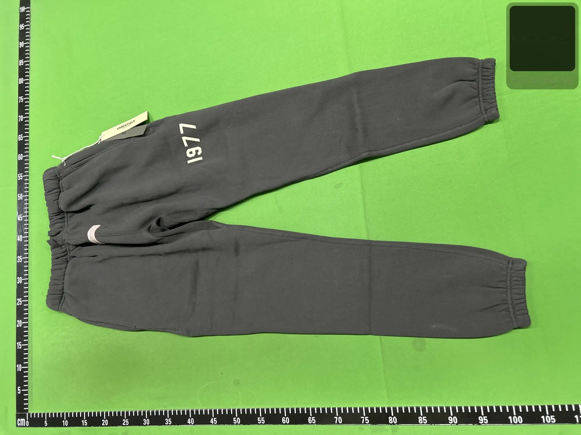 1977 Flocked Cuffed Sweatpants - SS22 -2