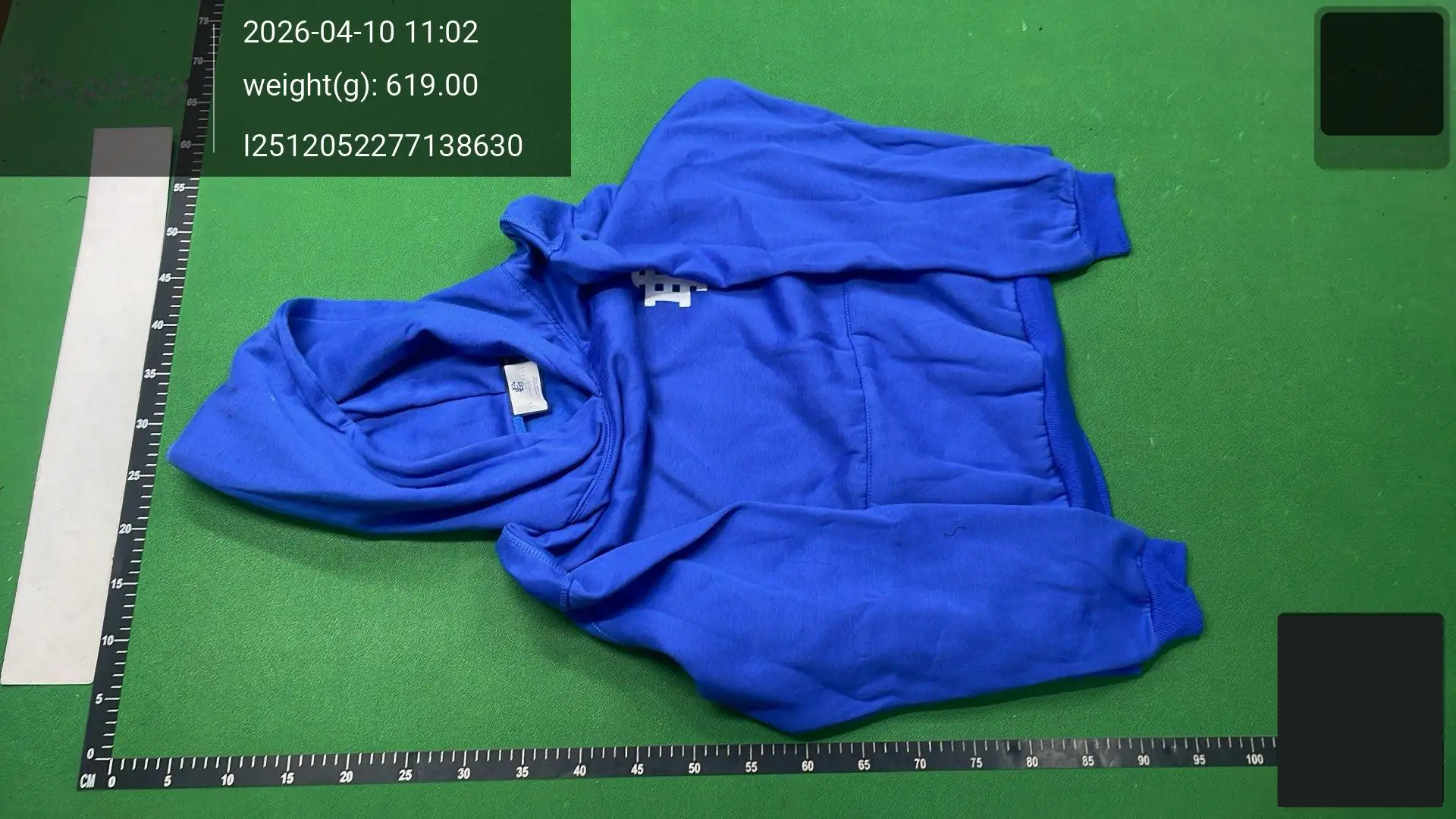 Embroidered Pullover Hoodie -3
