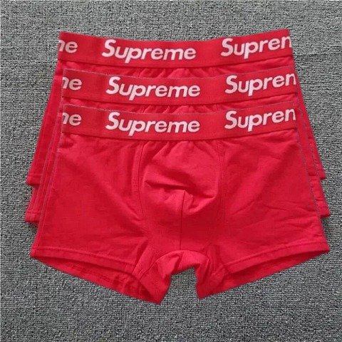 Wide-Waistband Boxer Briefs - 