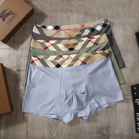 Boxed Boxer Briefs - CXS-09082