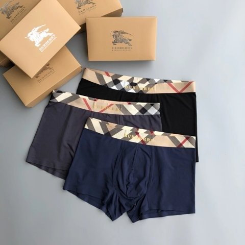 Boxed Boxer Briefs - CXS-10192