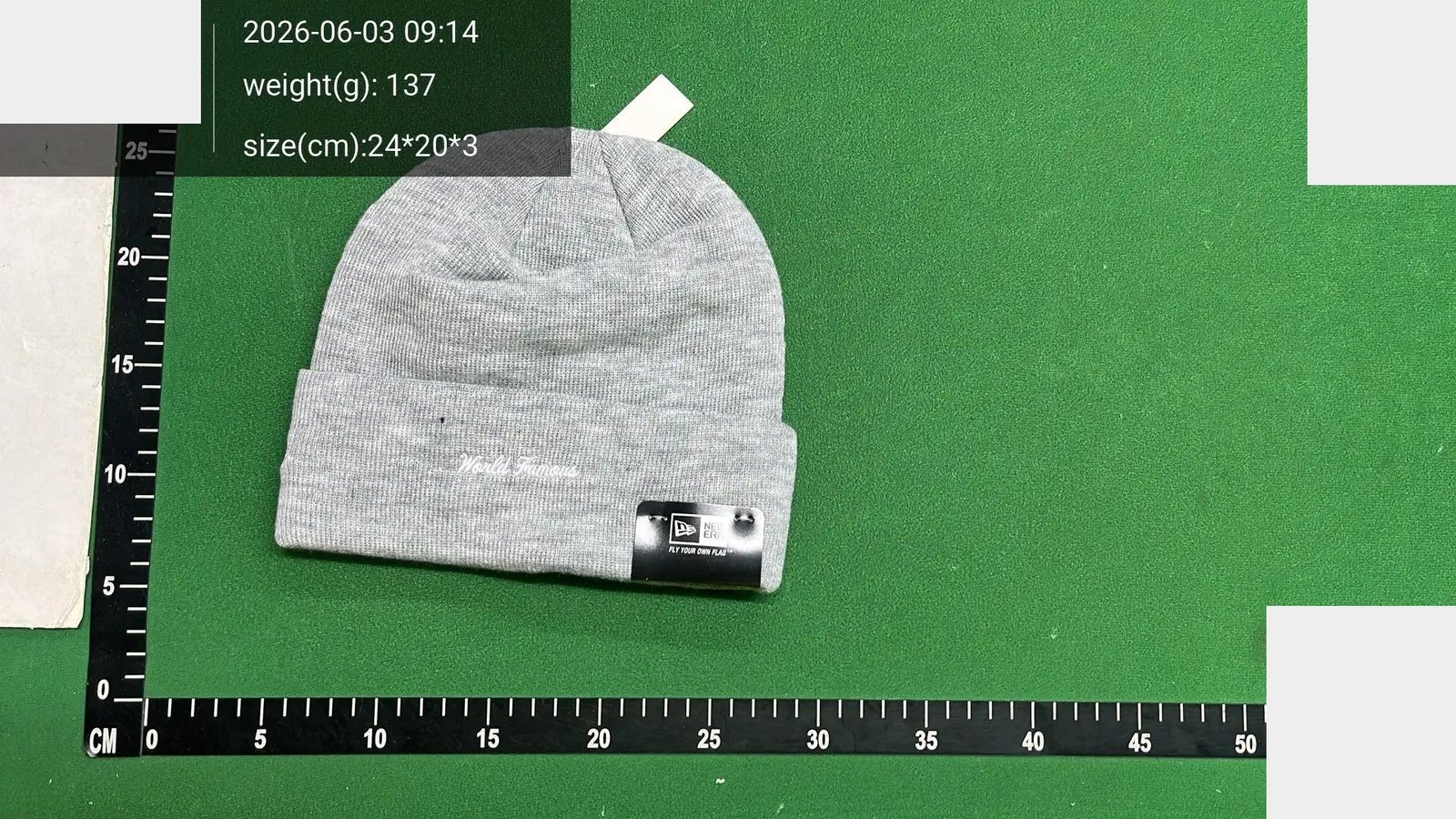 Box Logo Cuff Beanie -2