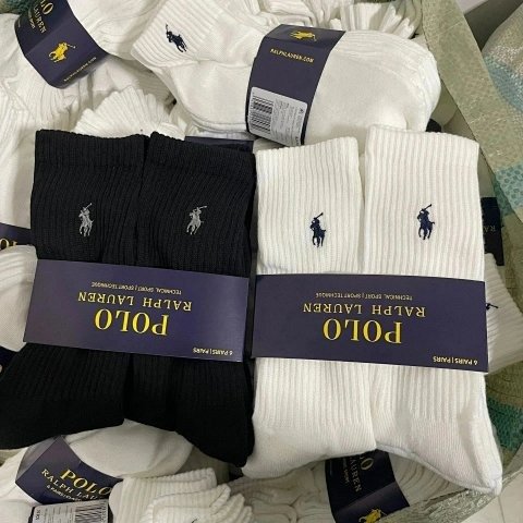 Polo Player Crew Sock Color Co